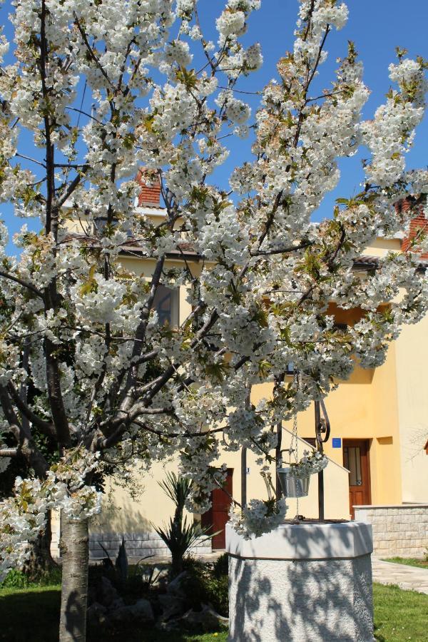 Apartment Dekovic Πόρετς Εξωτερικό φωτογραφία